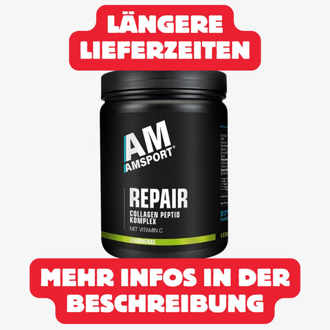 AMSPORT® Repair - Kollagen Peptid Komplex