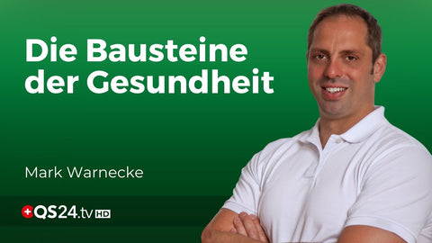 Die Bausteine der Gesundheit